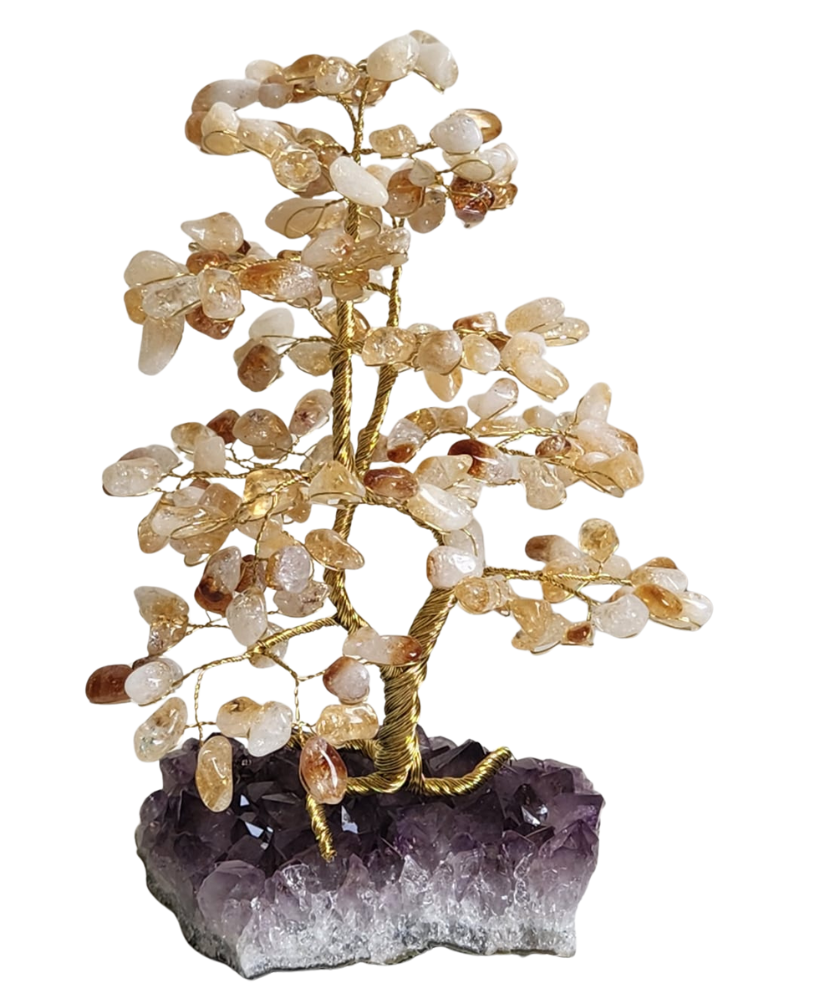 Árvore grande de citrino na base de ametista 25cm
