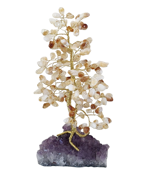 Árvore grande de citrino na base de ametista - 30cm