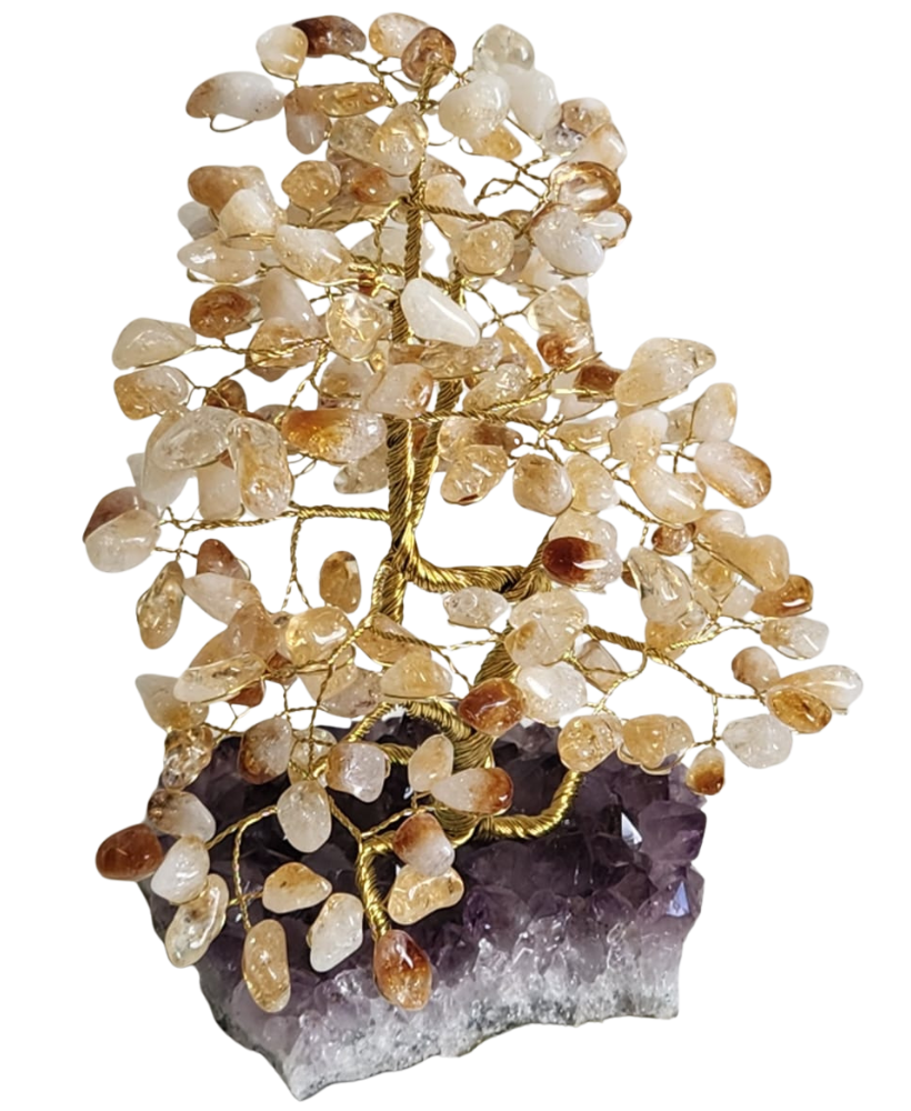 Árvore grande de citrino na base de ametista 25cm