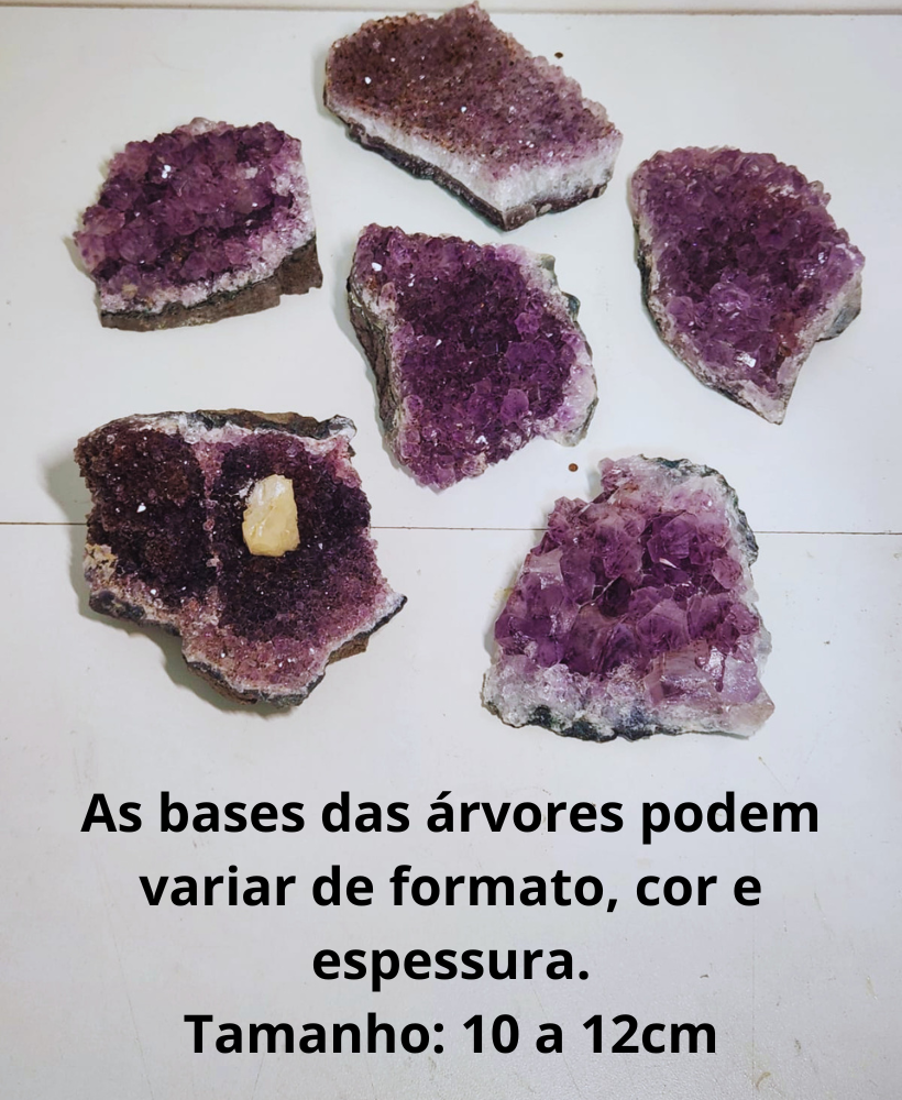 Árvore grande de citrino na base de ametista - 30cm